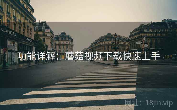 功能详解：蘑菇视频下载快速上手