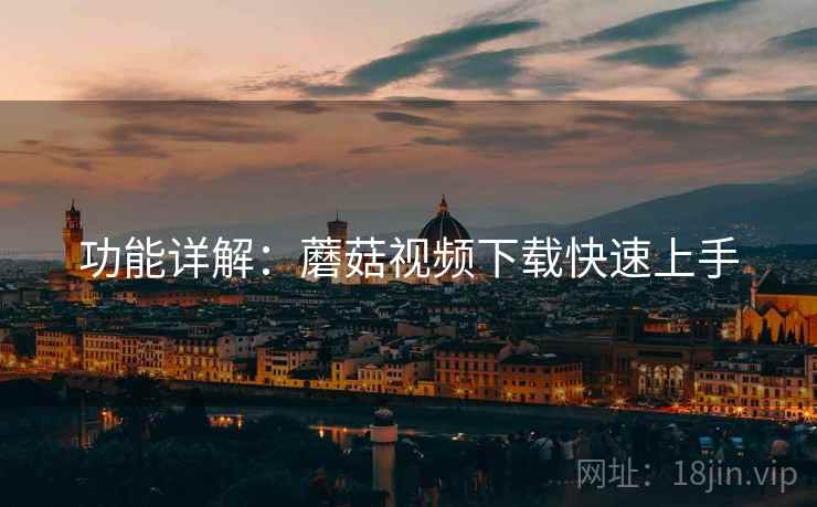 功能详解：蘑菇视频下载快速上手