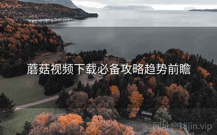 蘑菇视频下载必备攻略趋势前瞻
