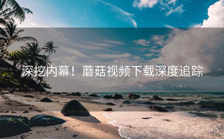 深挖内幕！蘑菇视频下载深度追踪